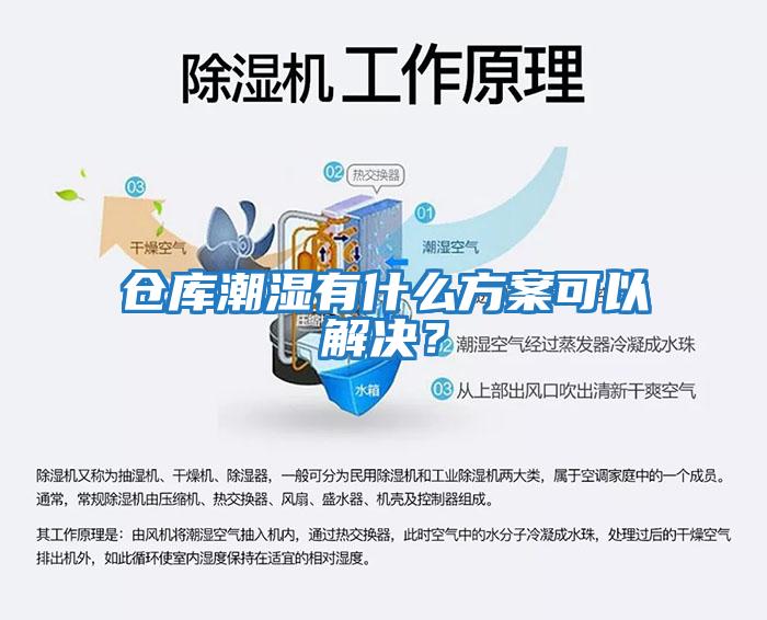 倉庫潮濕有什么方案可以解決？