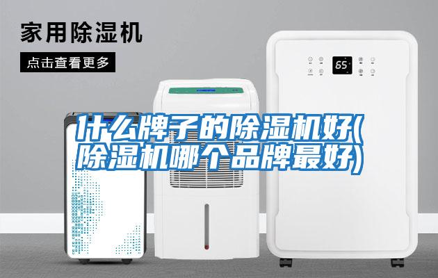 什么牌子的除濕機好(除濕機哪個品牌最好)