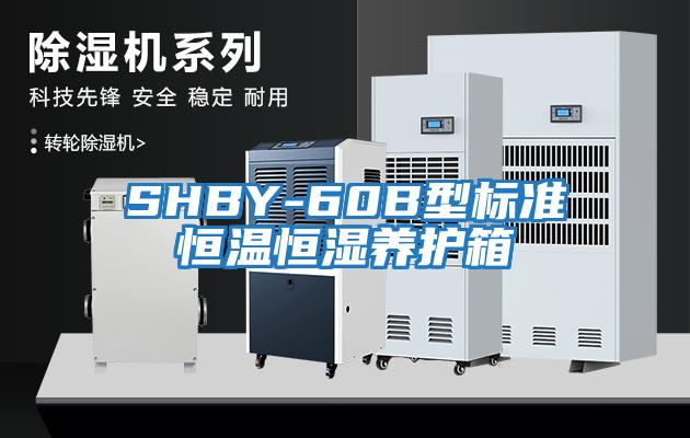 SHBY-60B型標準恒溫恒濕養(yǎng)護箱