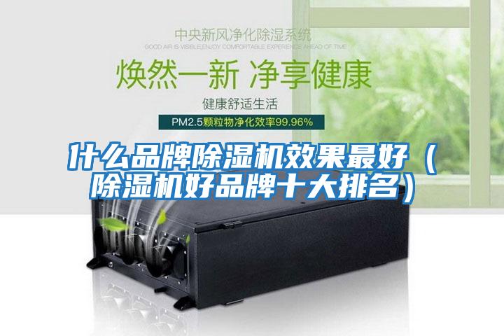 什么品牌除濕機(jī)效果最好（除濕機(jī)好品牌十大排名）