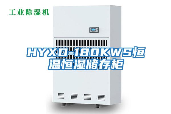 HYXD-180KWS恒溫恒濕儲(chǔ)存柜