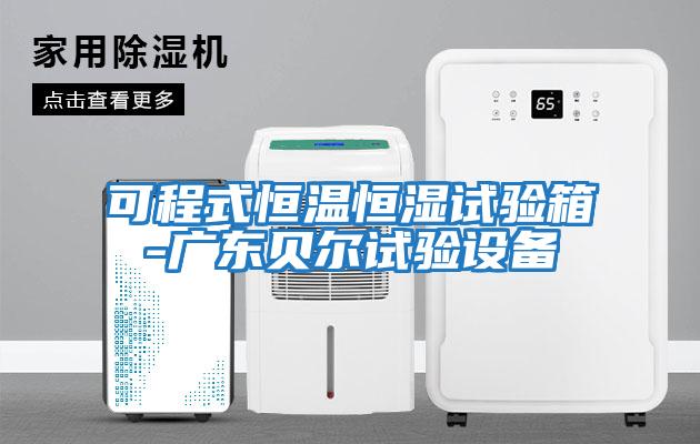 可程式恒溫恒濕試驗箱-廣東貝爾試驗設備