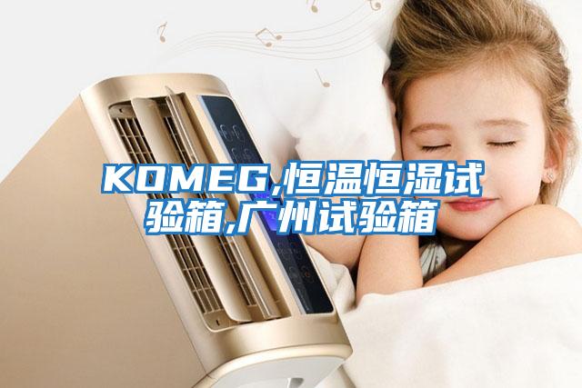 KOMEG,恒溫恒濕試驗(yàn)箱,廣州試驗(yàn)箱