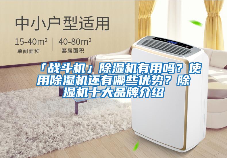 「戰(zhàn)斗機(jī)」除濕機(jī)有用嗎？使用除濕機(jī)還有哪些優(yōu)勢？除濕機(jī)十大品牌介紹