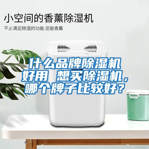 什么品牌除濕機(jī)好用 想買除濕機(jī)，哪個(gè)牌子比較好？