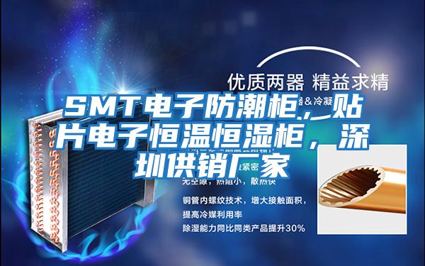 SMT電子防潮柜，貼片電子恒溫恒濕柜，深圳供銷廠家