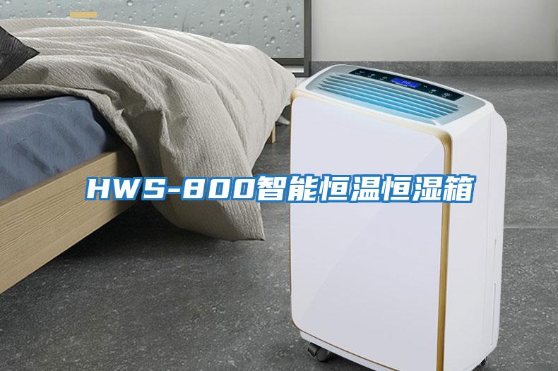 HWS-800智能恒溫恒濕箱