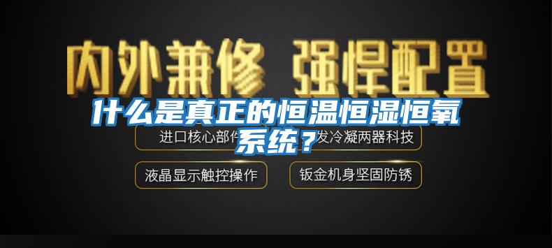 什么是真正的恒溫恒濕恒氧系統(tǒng)？