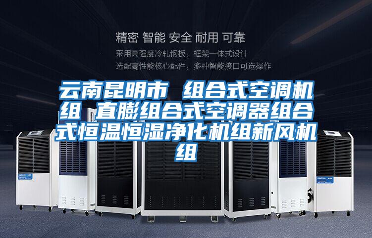 云南昆明市 組合式空調(diào)機(jī)組 直膨組合式空調(diào)器組合式恒溫恒濕凈化機(jī)組新風(fēng)機(jī)組