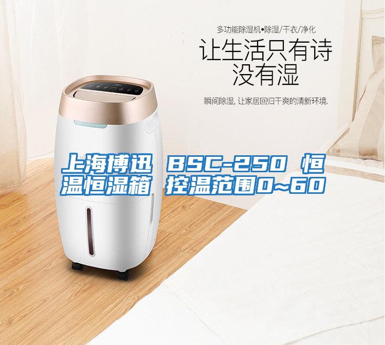 上海博迅 BSC-250 恒溫恒濕箱 控溫范圍0~60℃