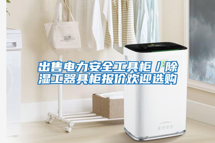 出售電力安全工具柜／除濕工器具柜報(bào)價(jià)歡迎選購(gòu)