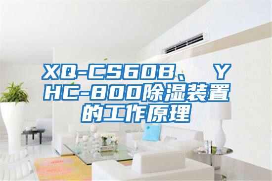 XQ-CS60B、 YHC-800除濕裝置的工作原理