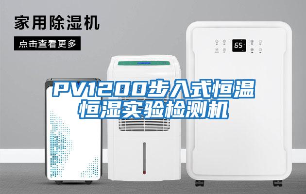 PV1200步入式恒溫恒濕實驗檢測機