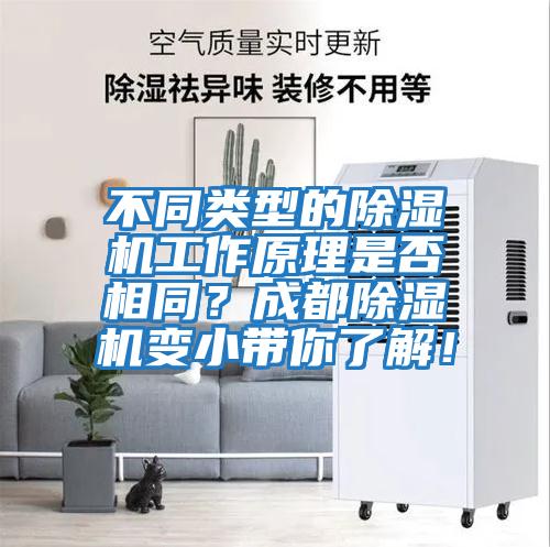 不同類型的除濕機(jī)工作原理是否相同？成都除濕機(jī)變小帶你了解！