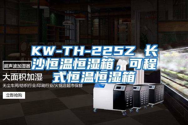 KW-TH-225Z 長沙恒溫恒濕箱，可程式恒溫恒濕箱