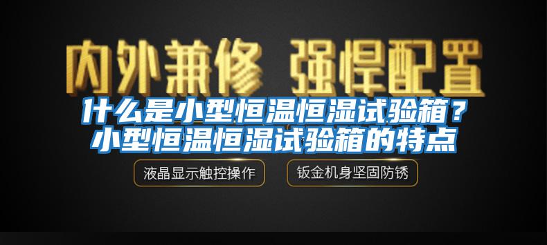 什么是小型恒溫恒濕試驗箱？小型恒溫恒濕試驗箱的特點