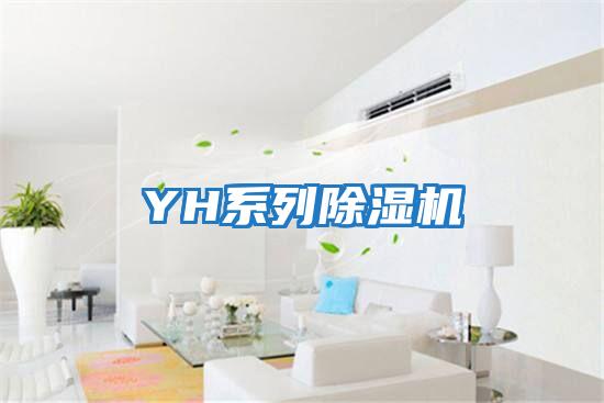 YH系列除濕機(jī)