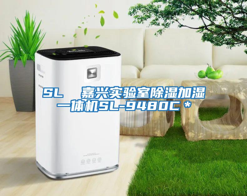 SL  嘉興實(shí)驗(yàn)室除濕加濕一體機(jī)SL-9480C＊