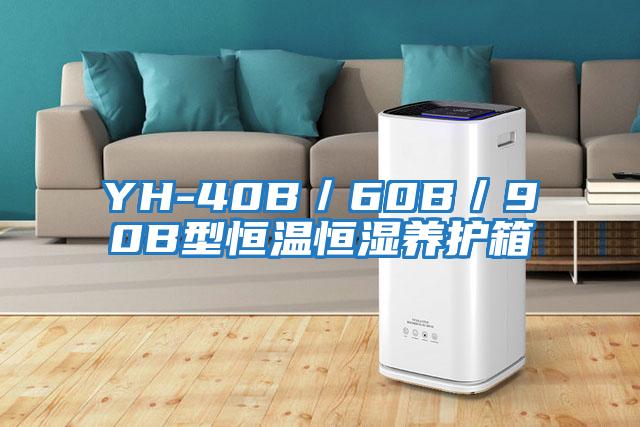 YH-40B／60B／90B型恒溫恒濕養(yǎng)護(hù)箱