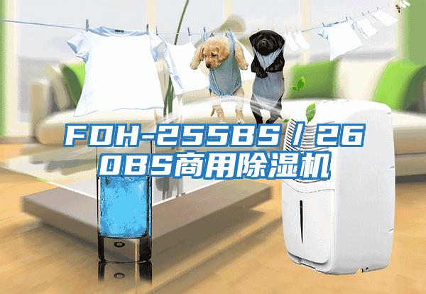 FDH-255BS／260BS商用除濕機(jī)