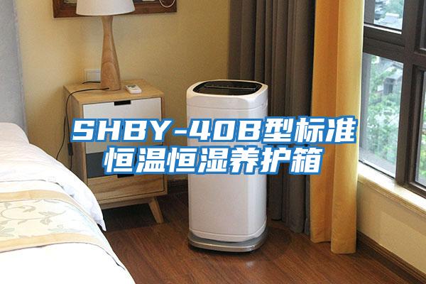 SHBY-40B型標(biāo)準(zhǔn)恒溫恒濕養(yǎng)護(hù)箱