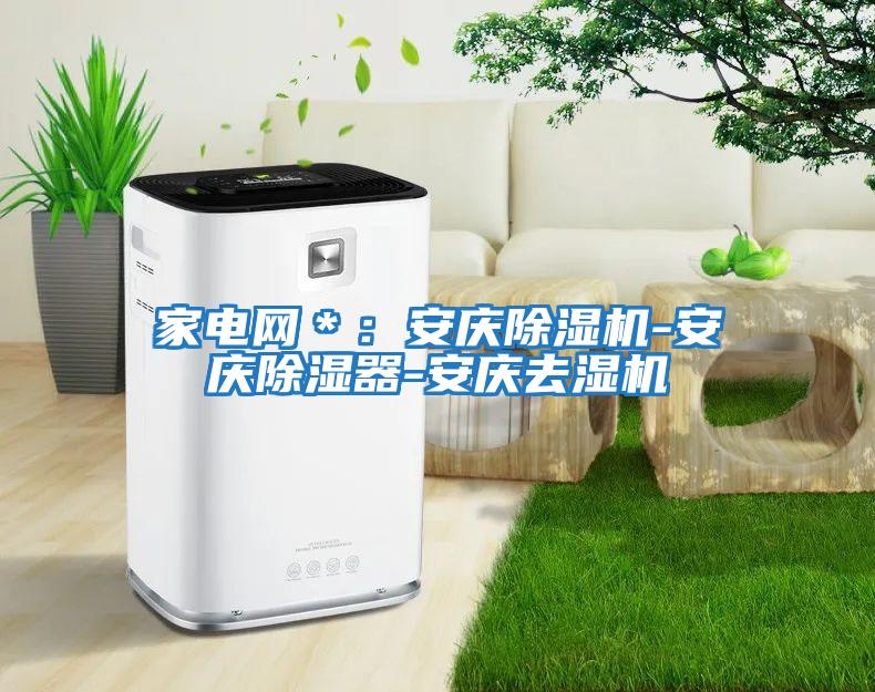 家電網(wǎng)＊：安慶除濕機(jī)-安慶除濕器-安慶去濕機(jī)