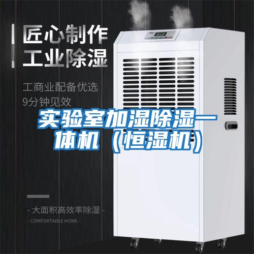 實(shí)驗(yàn)室加濕除濕一體機(jī)（恒濕機(jī)）