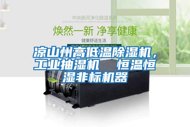 涼山州高低溫除濕機，工業(yè)抽濕機  恒溫恒濕非標機器