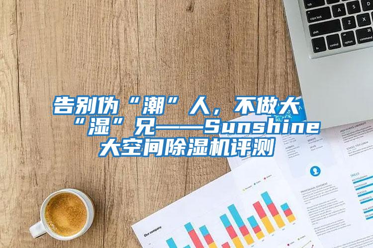 告別偽“潮”人，不做大“濕”兄——Sunshine大空間除濕機評測