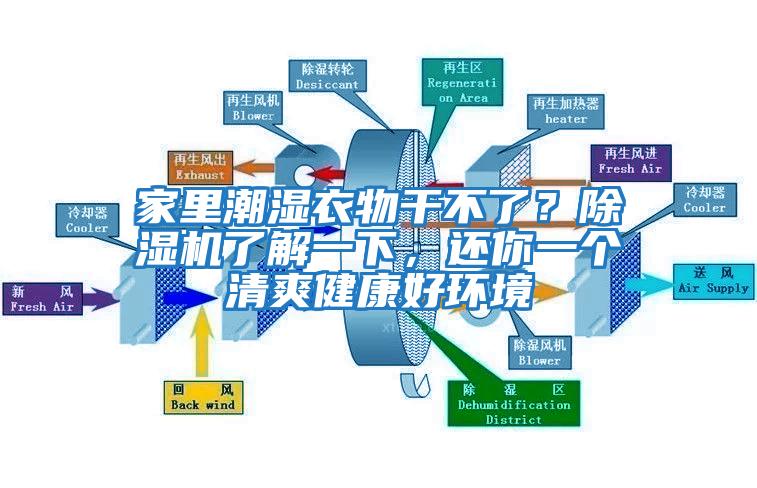 家里潮濕衣物干不了？除濕機(jī)了解一下，還你一個(gè)清爽健康好環(huán)境