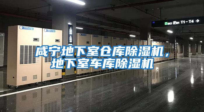 咸寧地下室倉庫除濕機，地下室車庫除濕機