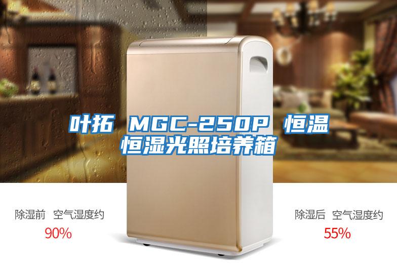 葉拓 MGC-250P 恒溫恒濕光照培養(yǎng)箱