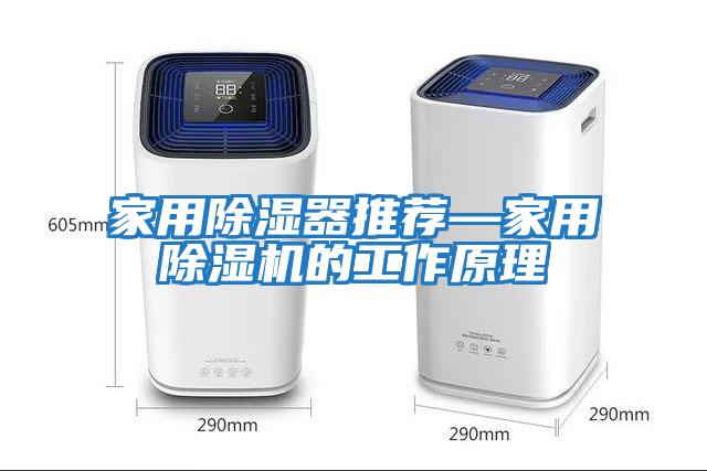 家用除濕器推薦—家用除濕機的工作原理