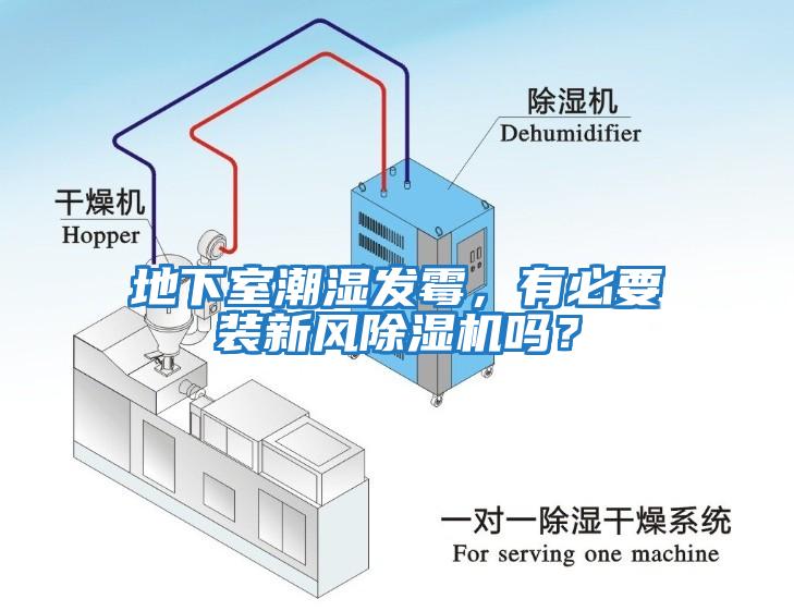 地下室潮濕發(fā)霉，有必要裝新風(fēng)除濕機(jī)嗎？