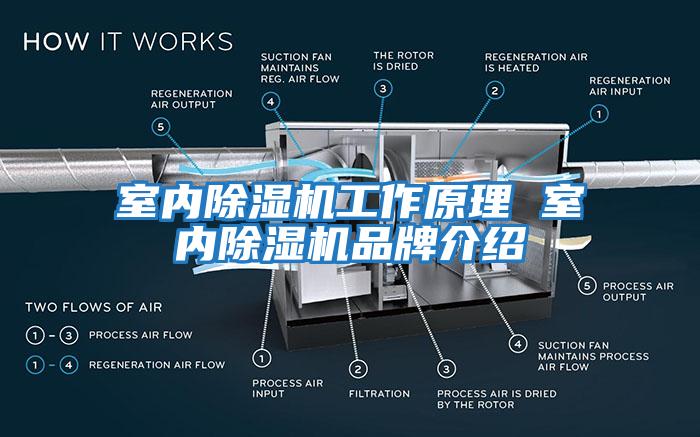 室內(nèi)除濕機(jī)工作原理 室內(nèi)除濕機(jī)品牌介紹