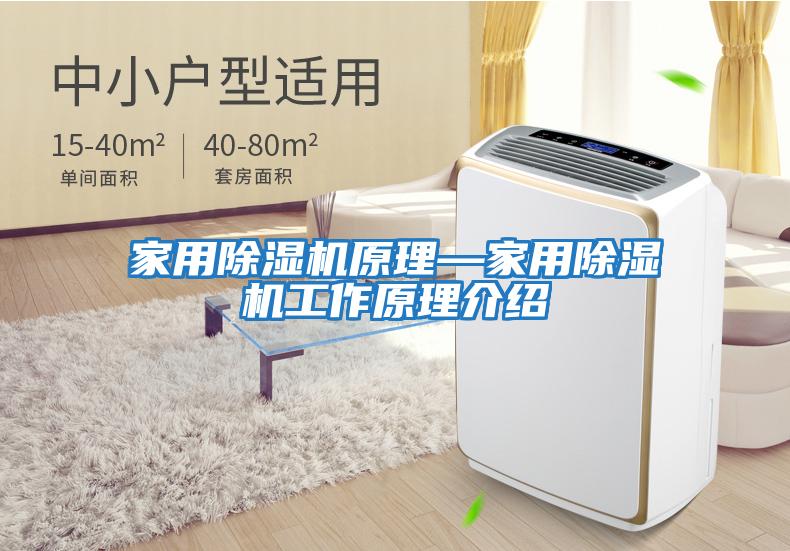 家用除濕機原理—家用除濕機工作原理介紹