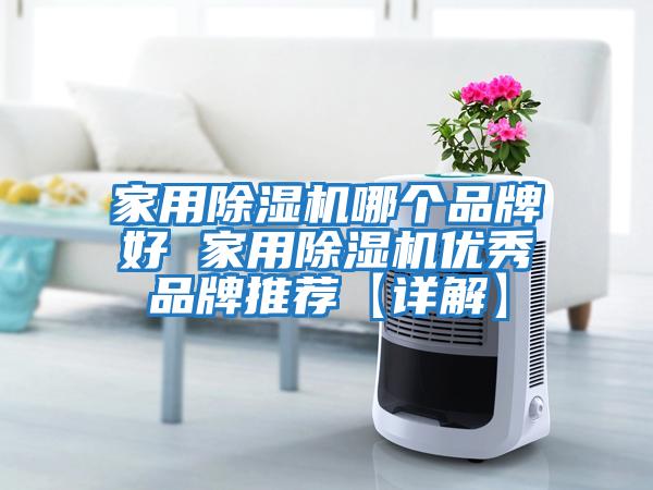 家用除濕機哪個品牌好 家用除濕機優(yōu)秀品牌推薦【詳解】