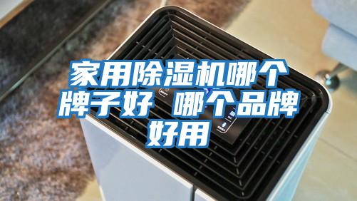 家用除濕機哪個牌子好 哪個品牌好用