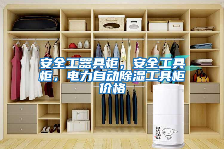 安全工器具柜，安全工具柜，電力自動(dòng)除濕工具柜價(jià)格