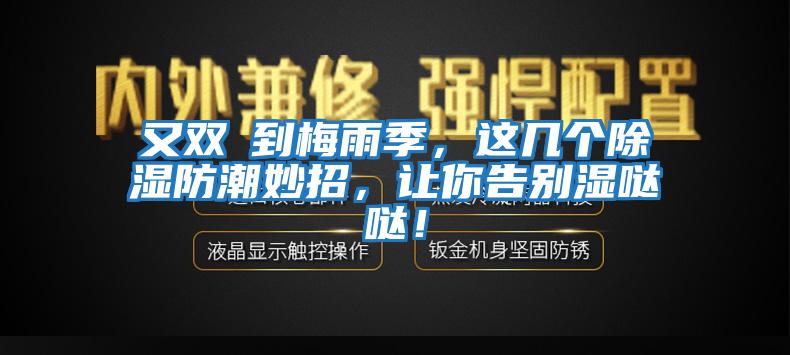 又雙叒到梅雨季，這幾個除濕防潮妙招，讓你告別濕噠噠！