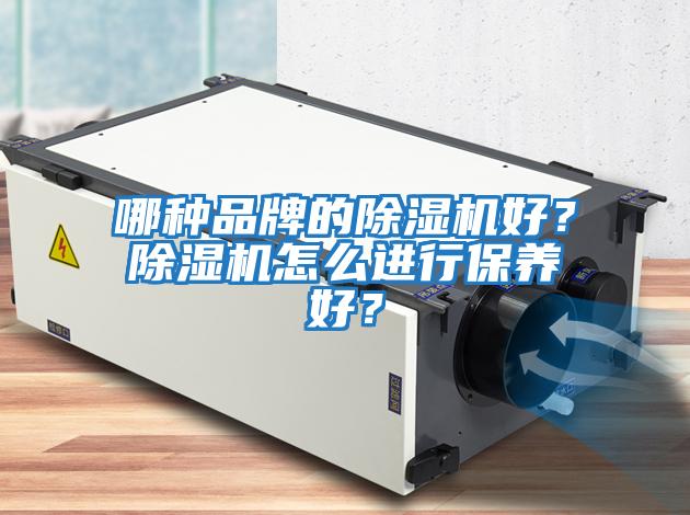 哪種品牌的除濕機好？除濕機怎么進行保養(yǎng)好？