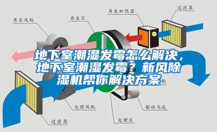 地下室潮濕發(fā)霉怎么解決，地下室潮濕發(fā)霉？新風(fēng)除濕機(jī)幫你解決方案