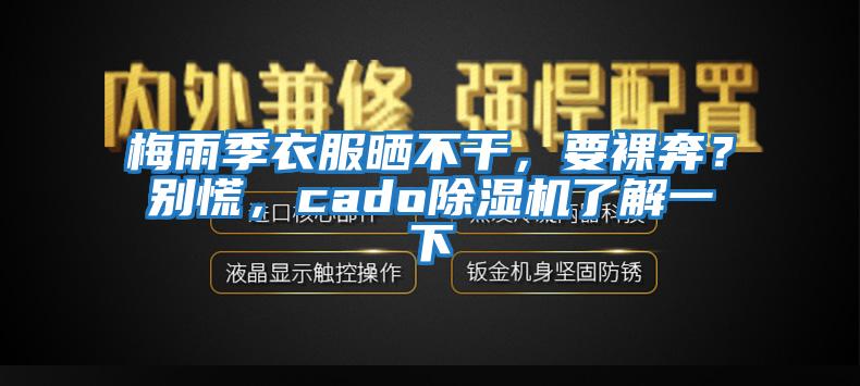 梅雨季衣服曬不干，要裸奔？別慌，cado除濕機(jī)了解一下