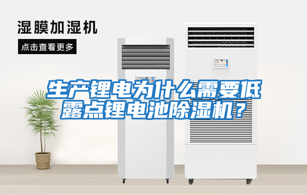 生產(chǎn)鋰電為什么需要低露點鋰電池除濕機(jī)？