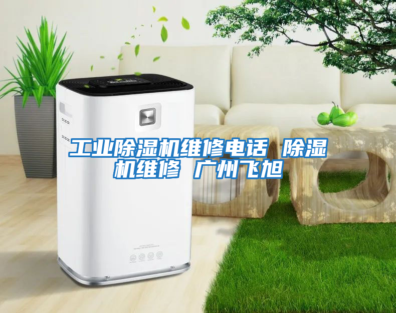 工業(yè)除濕機(jī)維修電話 除濕機(jī)維修 廣州飛旭