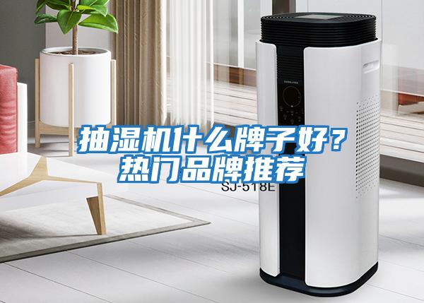 抽濕機什么牌子好？熱門品牌推薦