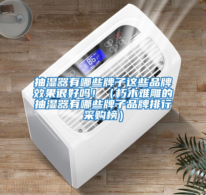 抽濕器有哪些牌子這些品牌效果很好嗎?。ㄐ嗄倦y雕的抽濕器有哪些牌子品牌排行采購榜）