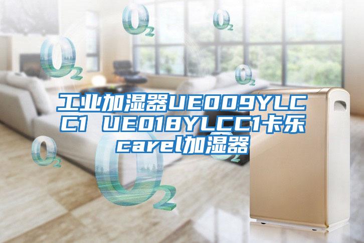 工業(yè)加濕器UE009YLCC1 UE018YLCC1卡樂(lè)carel加濕器