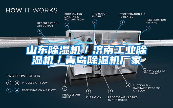 山東除濕機／濟南工業(yè)除濕機／青島除濕機廠家