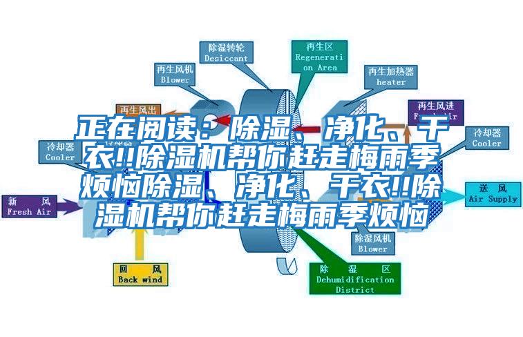 正在閱讀：除濕、凈化、干衣!!除濕機幫你趕走梅雨季煩惱除濕、凈化、干衣!!除濕機幫你趕走梅雨季煩惱